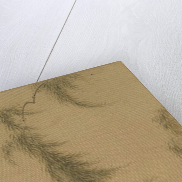 Beneath the Willow, after 1778 by Tsukioka Sessai