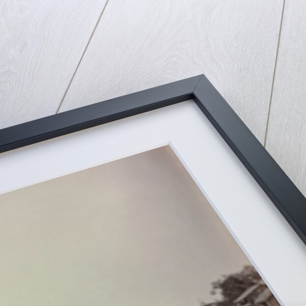 Bridge of Shops, Srinagar, Kashmir, 1864 by Samuel Bourne