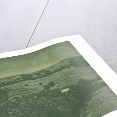 Camera Work: Meadow-brook, 1904 by Theodor Hofmeister; Oskar Hofmeister