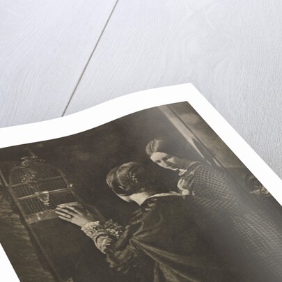 Camera Work: The Bird-Cage, 1909 by David Octavius Hill; Robert Adamson