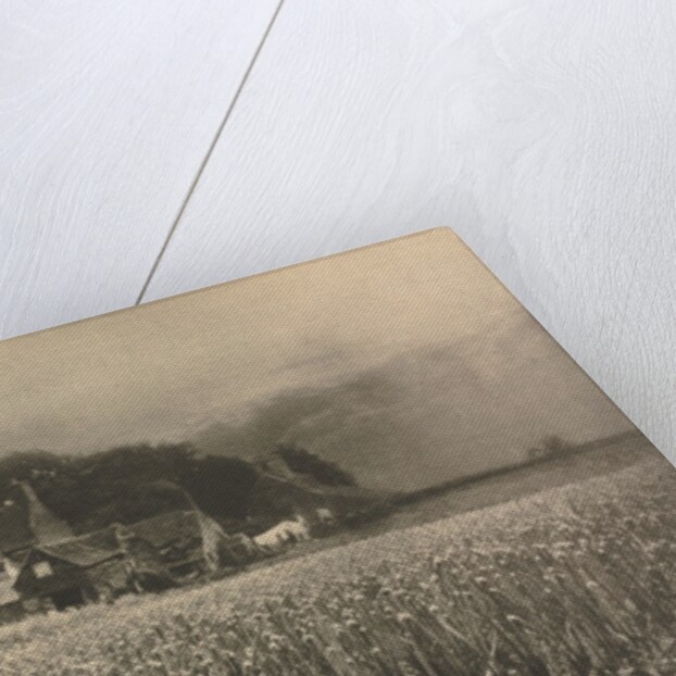 Camera Work: The Onion Field - 1890, 1890 by George Davison