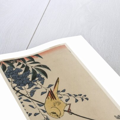 Canary and Wisteria, mid-1840s by Ando Hiroshige