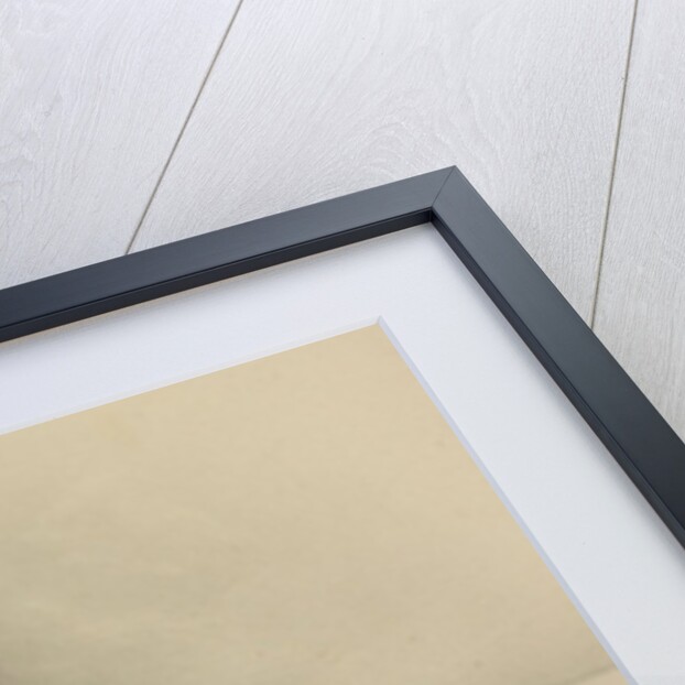 Chillon Castle by Mary Altha Nims