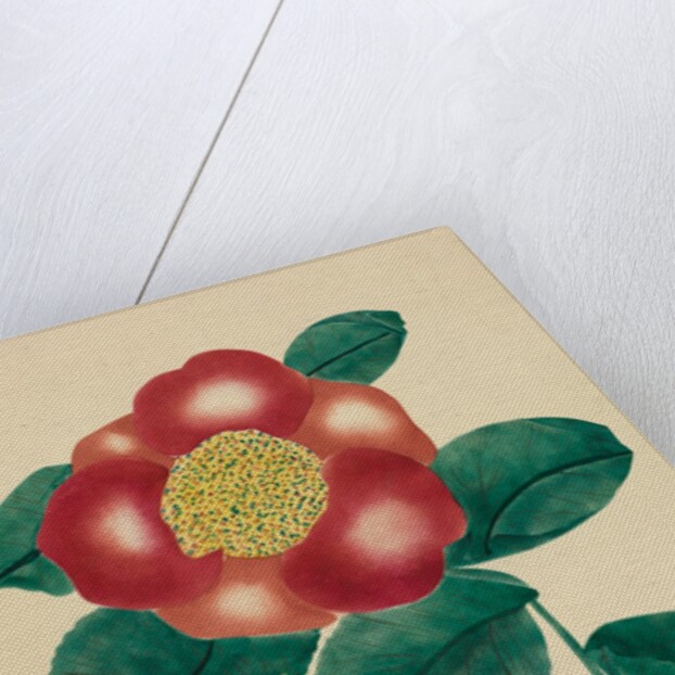 Chinese Flower by Mary Altha Nims