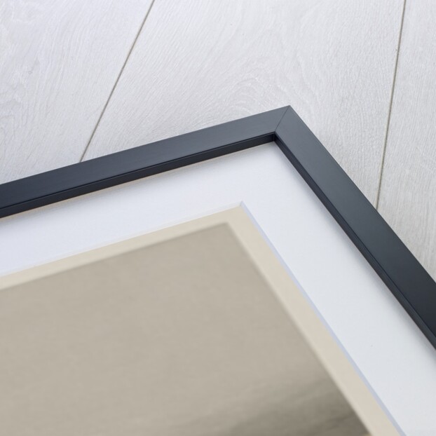 Egypt and Nubia, Volume II: Ruins of Memnonium, Thebes, 1847 by Louis Haghe