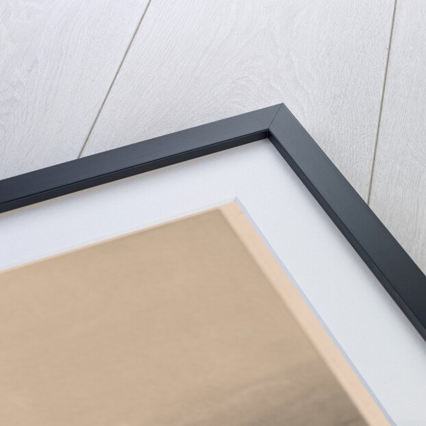 Egypt and Nubia: Volume II - No. 8, Ruins of the Memnonium, Thebes, 1838 by Louis Haghe