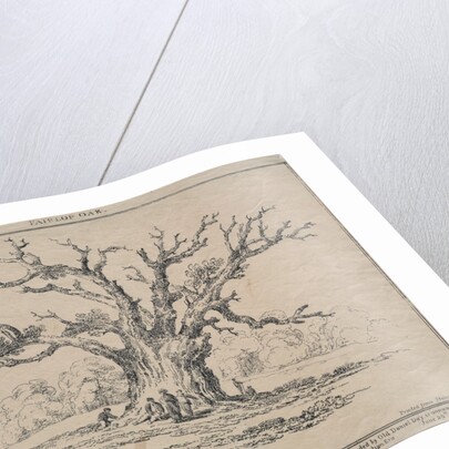 Fairlop Oak, 1811 by D. H. Redman