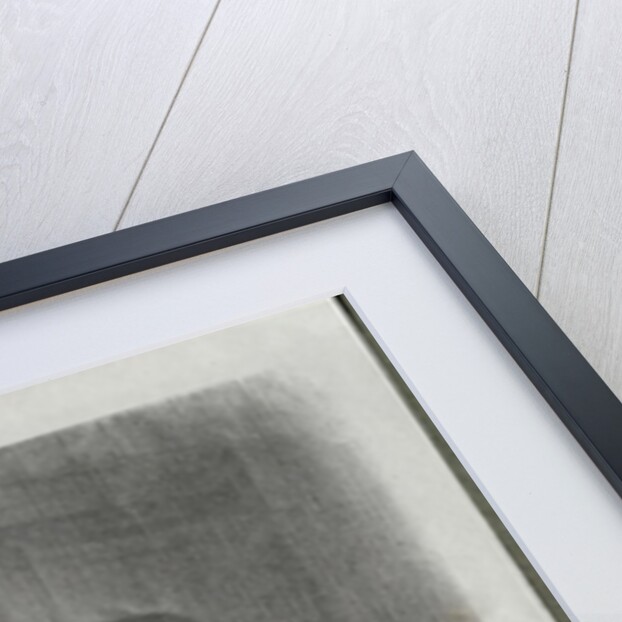 Fashionable Woman, c. 1900 by Maurice Louis Henri Newmont