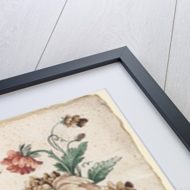 Floral Designs with a Blue Bird, c. 1773/74 by Giacomo Cavenezia