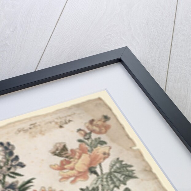 Floral Designs with Birds and Griffon, 1784 by Giacomo Cavenezia