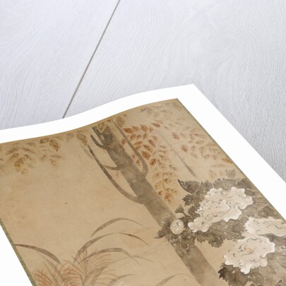 Flowers and Foliage of Autumn, mid 1700s by Tatebayashi Kagei