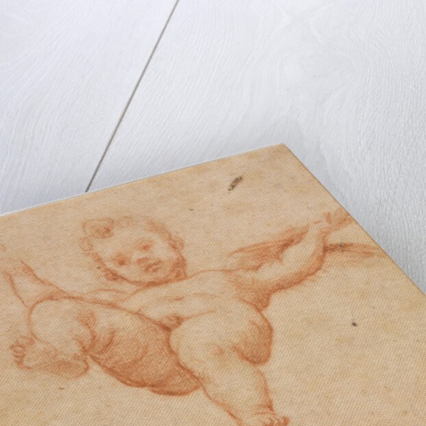 Flying Cupid, c. 1602 by Annibale Carracci (follower of)