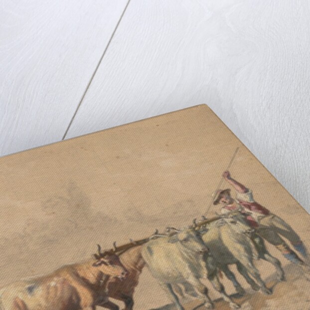 Four Oxen Pulling a Plough, 1853 by Constant Troyon