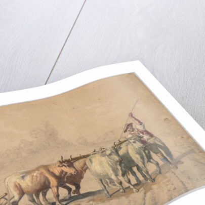 Four Oxen Pulling a Plough, 1853 by Constant Troyon