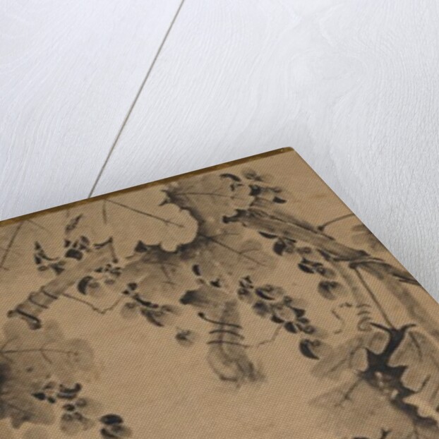 Grapevine, 1700s to 1800s by Unknown