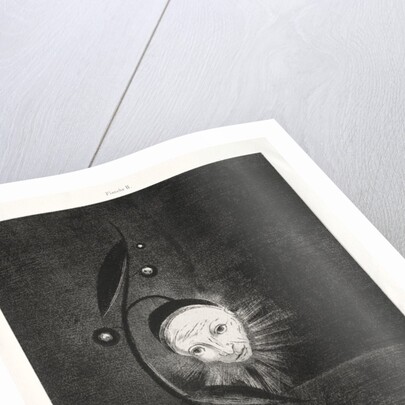 Homage to Goya: The Marsh Flower, a Sad Human Head, 1885 by Odilon Redon