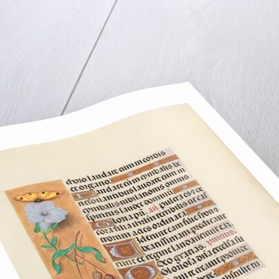 Hours of Queen Isabella the Catholic, Queen of Spain: Fol. 122v, c. 1500 by Master of the First Prayerbook of Maximillian