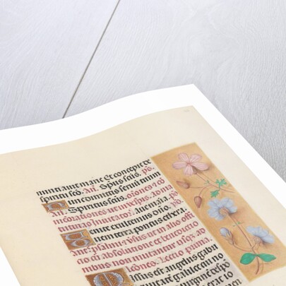 Hours of Queen Isabella the Catholic, Queen of Spain: Fol. 162r, c. 1500 by Master of the First Prayerbook of Maximillian
