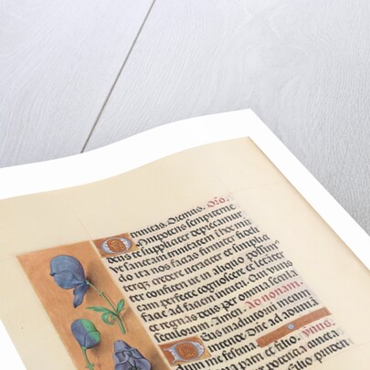 Hours of Queen Isabella the Catholic, Queen of Spain: Fol. 20v, c. 1500 by Master of the First Prayerbook of Maximillian