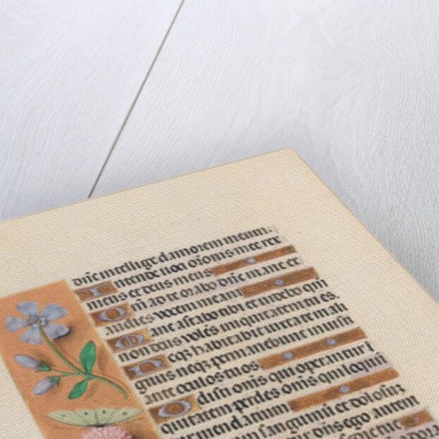 Hours of Queen Isabella the Catholic, Queen of Spain: Fol. 227v, c. 1500 by Master of the First Prayerbook of Maximillian
