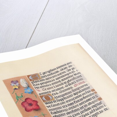 Hours of Queen Isabella the Catholic, Queen of Spain: Fol. 22v, c. 1500 by Master of the First Prayerbook of Maximillian