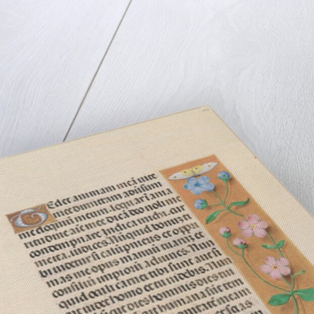 Hours of Queen Isabella the Catholic, Queen of Spain: Fol. 232r, c. 1500 by Master of the First Prayerbook of Maximillian