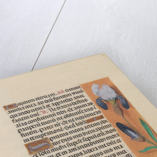Hours of Queen Isabella the Catholic, Queen of Spain: Fol. 244r, c. 1500 by Master of the First Prayerbook of Maximillian