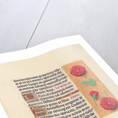 Hours of Queen Isabella the Catholic, Queen of Spain: Fol. 41r, c. 1500 by Master of the First Prayerbook of Maximillian