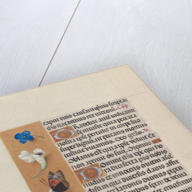 Hours of Queen Isabella the Catholic, Queen of Spain: Fol. 67v, c. 1500 by Master of the First Prayerbook of Maximillian