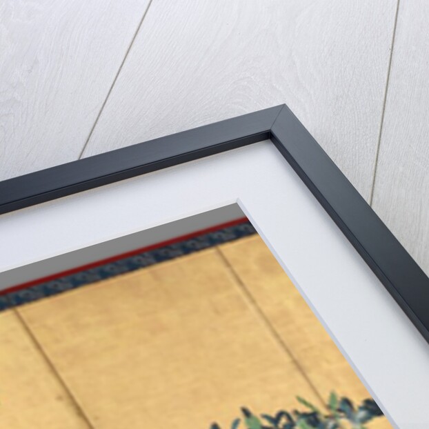 Irises, 1700s by Watanabe Shik?