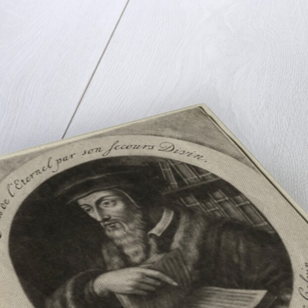 John Calvin by Jacob Gole