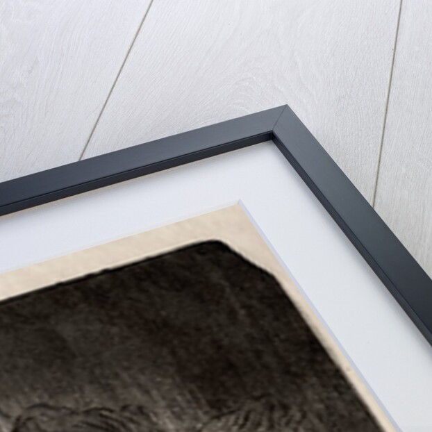 Judic in the Loge, 1894 by Henri de Toulouse-Lautrec