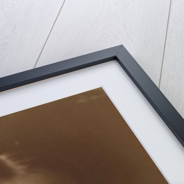 Julia Jackson Duckworth, 1867 by Julia Margaret Cameron