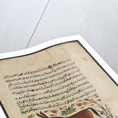 Khar, from a Nuzhat-nama-yi alai…, 1400s by Unknown