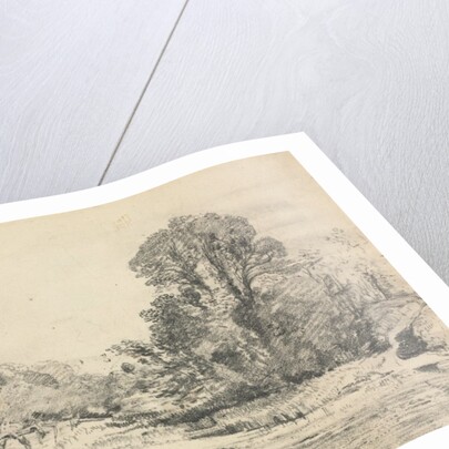 Landscape with Trees Surrounding a Pond by John Constable