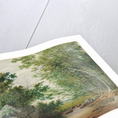 Landscape with Wooded Stream and Boulder, c. 1880s by William Allen Wall