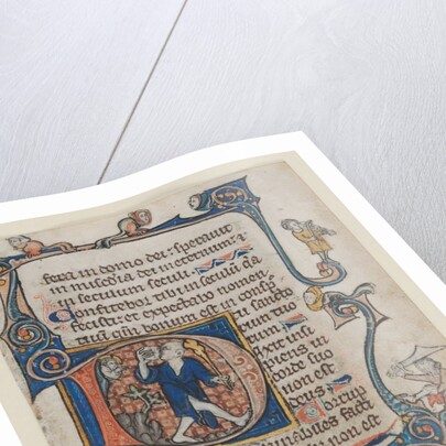 Leaf from a Psalter: Initial D: A Fool Rebuked by God, c. 1300-1320 by Unknown