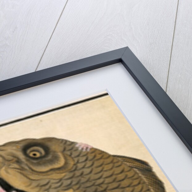 Leaf from Album of Actor Portraits, c. 1790-1810 by Shorakusai