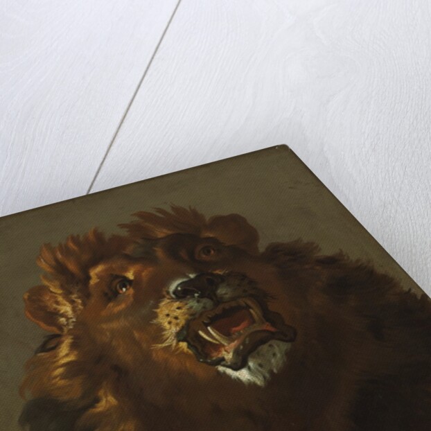 Lion, 1750s by Giuseppe Baldrighi