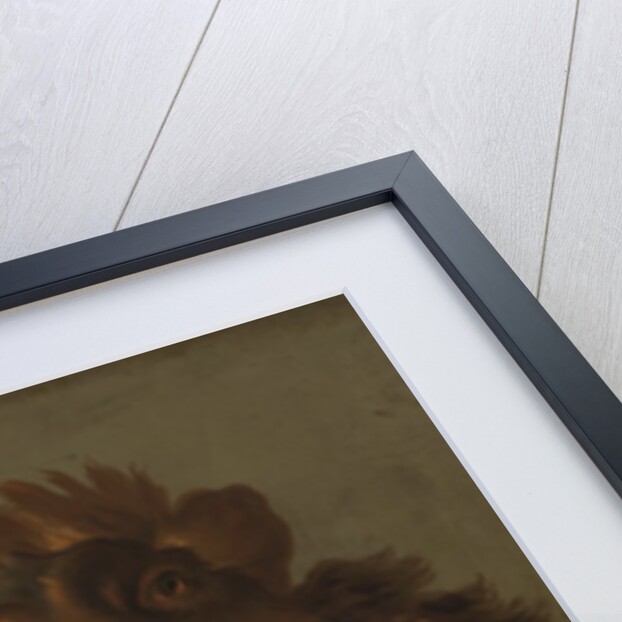 Lion, 1750s by Giuseppe Baldrighi