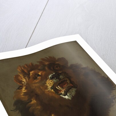 Lion, 1750s by Giuseppe Baldrighi