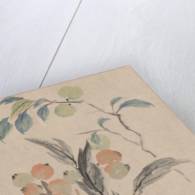 Loquat Tree of Japan by Tsubaki Chinzan