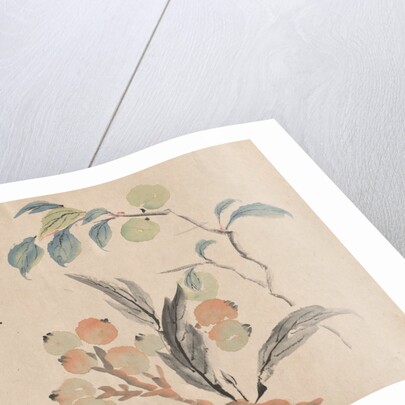 Loquat Tree of Japan by Tsubaki Chinzan