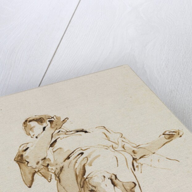 Male Figure Seen from Below, c. 1740s by Giovanni Battista Tiepolo