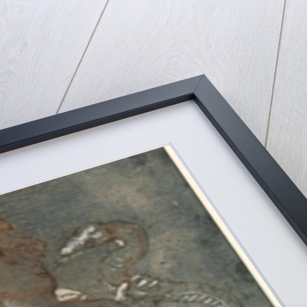 Man Entwined by Two Snakes, c. 1527 by Giovanni Antonio da Pordenone (attributed to)