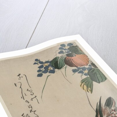 Mandarin Ducks and Flowering Plants, early or mid-1830s by Ando Hiroshige