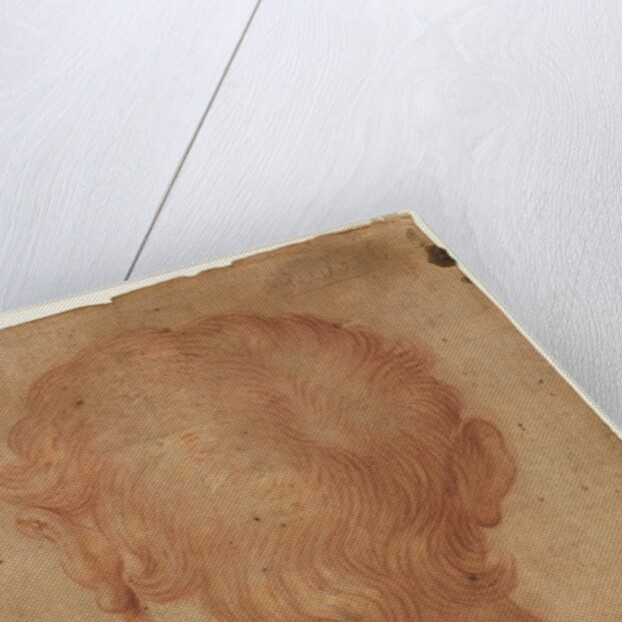 Man's Head from the Back by Unknown