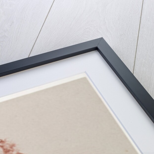 Mercier Ambulant by Paul Gavarni