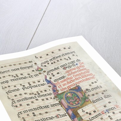 Missale: Fol. 183: Foliage decoration, 1469 by Bartolommeo Caporali