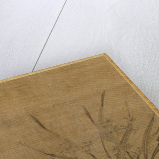 Narcissus and Rocks, 1368-1644 by Lu Tianru